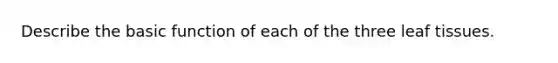 Describe the basic function of each of the three leaf tissues.