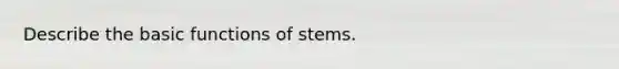 Describe the basic functions of stems.