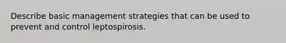 Describe basic management strategies that can be used to prevent and control leptospirosis.