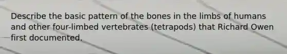 Describe the basic pattern of the bones in the limbs of humans and other four-limbed vertebrates (tetrapods) that Richard Owen first documented.