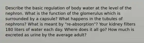 Describe the basic regulation of body water at the level of the nephron. What is the function of the glomerulus which is surrounded by a capsule? What happens in the tubules of nephrons? What is meant by "re-absorption"? Your kidney filters 180 liters of water each day. Where does it all go? How much is excreted as urine by the average adult?