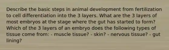 Describe the basic steps in animal development from fertilization to cell differentiation into the 3 layers. What are the 3 layers of most embryos at the stage where the gut has started to form? Which of the 3 layers of an embryo does the following types of tissue come from: - <a href='https://www.questionai.com/knowledge/kMDq0yZc0j-muscle-tissue' class='anchor-knowledge'>muscle tissue</a>? - skin? - <a href='https://www.questionai.com/knowledge/kqA5Ws88nP-nervous-tissue' class='anchor-knowledge'>nervous tissue</a>? - gut lining?