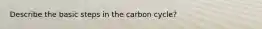 Describe the basic steps in the carbon cycle?