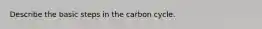 Describe the basic steps in the carbon cycle.