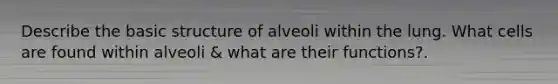 Describe the basic structure of alveoli within the lung. What cells are found within alveoli & what are their functions?.