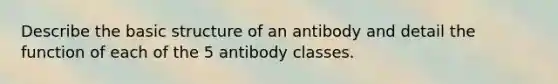 Describe the basic structure of an antibody and detail the function of each of the 5 antibody classes.