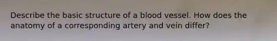 Describe the basic structure of a blood vessel. How does the anatomy of a corresponding artery and vein differ?