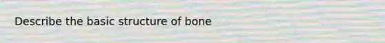 Describe the basic structure of bone