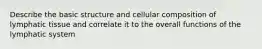 Describe the basic structure and cellular composition of lymphatic tissue and correlate it to the overall functions of the lymphatic system