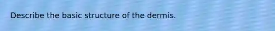 Describe the basic structure of the dermis.