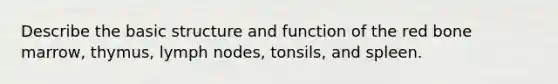 Describe the basic structure and function of the red bone marrow, thymus, lymph nodes, tonsils, and spleen.