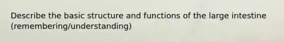 Describe the basic structure and functions of the <a href='https://www.questionai.com/knowledge/kGQjby07OK-large-intestine' class='anchor-knowledge'>large intestine</a> (remembering/understanding)