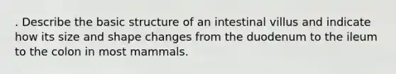 . Describe the basic structure of an intestinal villus and indicate how its size and shape changes from the duodenum to the ileum to the colon in most mammals.