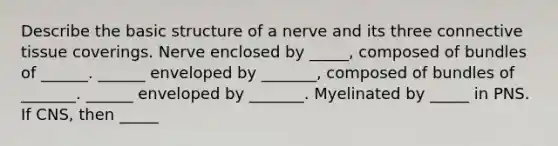 Describe the basic structure of a nerve and its three connective tissue coverings. Nerve enclosed by _____, composed of bundles of ______. ______ enveloped by _______, composed of bundles of _______. ______ enveloped by _______. Myelinated by _____ in PNS. If CNS, then _____