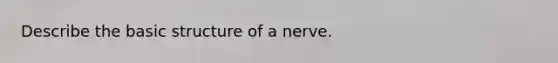 Describe the basic structure of a nerve.