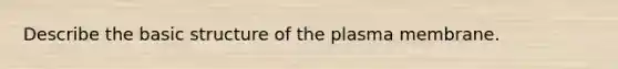 Describe the basic structure of the plasma membrane.