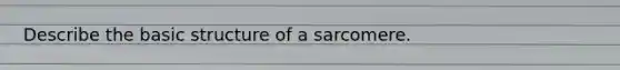 Describe the basic structure of a sarcomere.