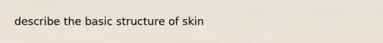 describe the basic structure of skin