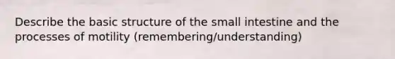 Describe the basic structure of the small intestine and the processes of motility (remembering/understanding)