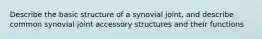 Describe the basic structure of a synovial joint, and describe common synovial joint accessory structures and their functions