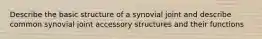 Describe the basic structure of a synovial joint and describe common synovial joint accessory structures and their functions