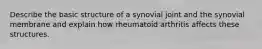 Describe the basic structure of a synovial joint and the synovial membrane and explain how rheumatoid arthritis affects these structures.