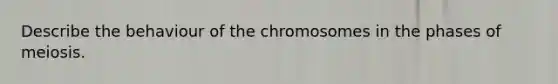 Describe the behaviour of the chromosomes in the phases of meiosis.