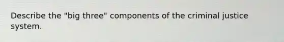 Describe the "big three" components of the criminal justice system.