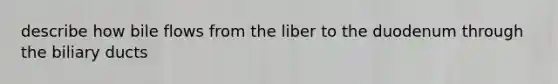 describe how bile flows from the liber to the duodenum through the biliary ducts