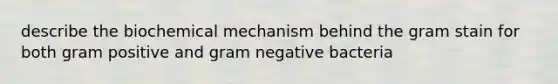 describe the biochemical mechanism behind the gram stain for both gram positive and gram negative bacteria