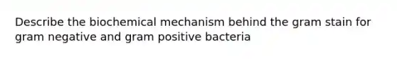 Describe the biochemical mechanism behind the gram stain for gram negative and gram positive bacteria