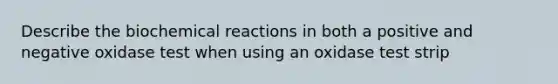 Describe the biochemical reactions in both a positive and negative oxidase test when using an oxidase test strip