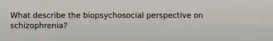 What describe the biopsychosocial perspective on schizophrenia?