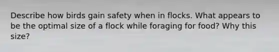 Describe how birds gain safety when in flocks. What appears to be the optimal size of a flock while foraging for food? Why this size?