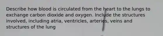 Describe how blood is circulated from the heart to the lungs to exchange carbon dioxide and oxygen. Include the structures involved, including atria, ventricles, arteries, veins and structures of the lung