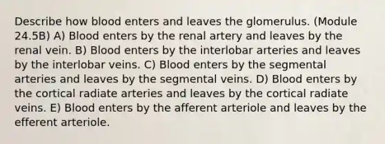 Describe how blood enters and leaves the glomerulus. (Module 24.5B) A) Blood enters by the renal artery and leaves by the renal vein. B) Blood enters by the interlobar arteries and leaves by the interlobar veins. C) Blood enters by the segmental arteries and leaves by the segmental veins. D) Blood enters by the cortical radiate arteries and leaves by the cortical radiate veins. E) Blood enters by the afferent arteriole and leaves by the efferent arteriole.