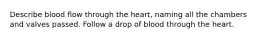 Describe blood flow through the heart, naming all the chambers and valves passed. Follow a drop of blood through the heart.