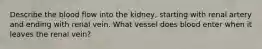 Describe the blood flow into the kidney, starting with renal artery and ending with renal vein. What vessel does blood enter when it leaves the renal vein?