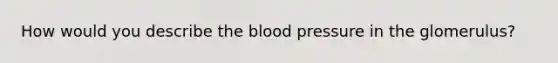 How would you describe the blood pressure in the glomerulus?