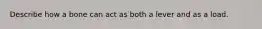 Describe how a bone can act as both a lever and as a load.