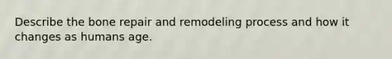 Describe the bone repair and remodeling process and how it changes as humans age.