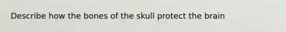 Describe how the bones of the skull protect the brain