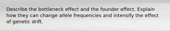 Describe the bottleneck effect and the founder effect. Explain how they can change allele frequencies and intensify the effect of genetic drift.