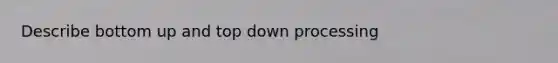 Describe bottom up and top down processing