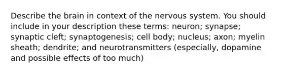 Describe the brain in context of the nervous system. You should include in your description these terms: neuron; synapse; synaptic cleft; synaptogenesis; cell body; nucleus; axon; myelin sheath; dendrite; and neurotransmitters (especially, dopamine and possible effects of too much)