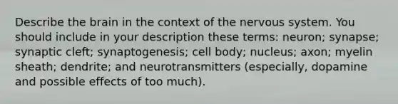 Describe the brain in the context of the nervous system. You should include in your description these terms: neuron; synapse; synaptic cleft; synaptogenesis; cell body; nucleus; axon; myelin sheath; dendrite; and neurotransmitters (especially, dopamine and possible effects of too much).