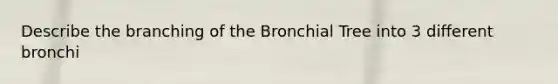 Describe the branching of the Bronchial Tree into 3 different bronchi