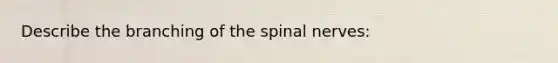 Describe the branching of the spinal nerves: