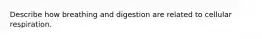 Describe how breathing and digestion are related to cellular respiration.