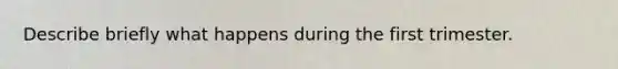 Describe briefly what happens during the first trimester.